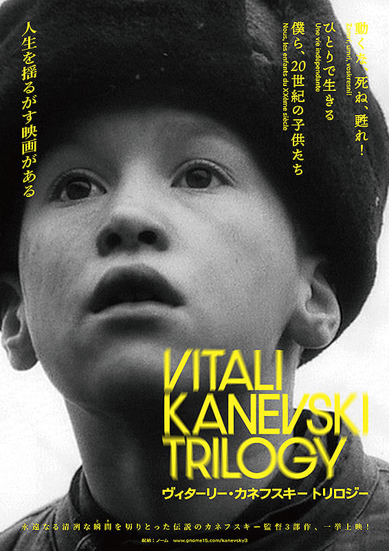 動くな,死ね,甦れ!('89ソ連) 動くな,死ね,甦れ!(´89ソ連) DVD ヴィターリー・カネフスキー