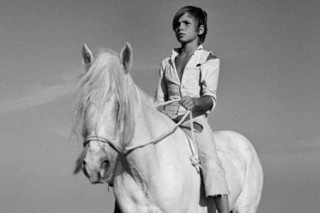 白い馬（1953） : 作品情報 - 映画.com
