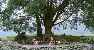 画像8