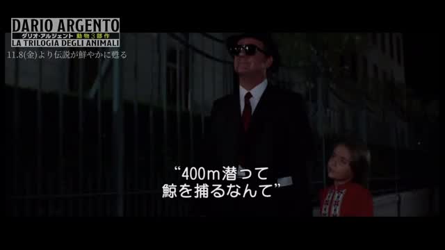 本編オープニング映像