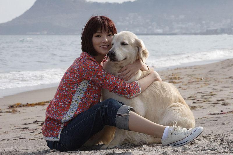 犬と私の10の約束 : 作品情報・キャスト・あらすじ・動画