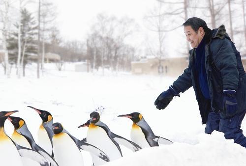 西田敏行の「旭山動物園物語 ペンギンが空をとぶ」の画像