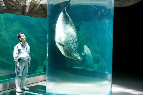 中村靖日の「旭山動物園物語 ペンギンが空をとぶ」の画像