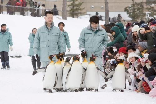 中村靖日の「旭山動物園物語 ペンギンが空をとぶ」の画像