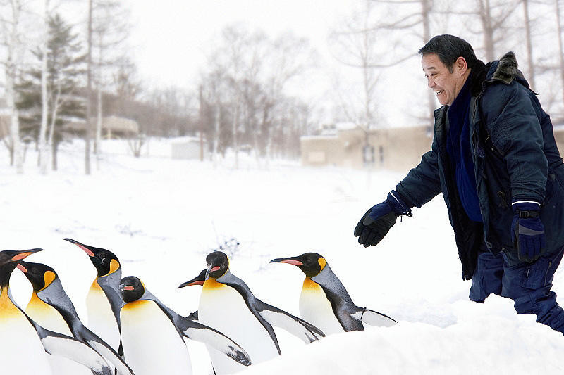 旭山動物園物語 ペンギンが空をとぶ : 作品情報 - 映画.com