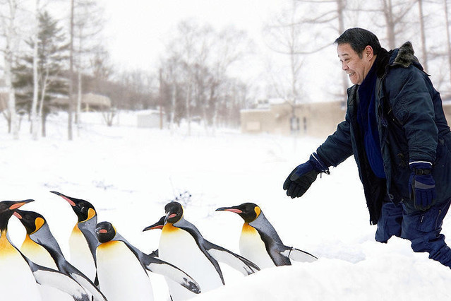 旭山動物園物語 ペンギンが空をとぶ