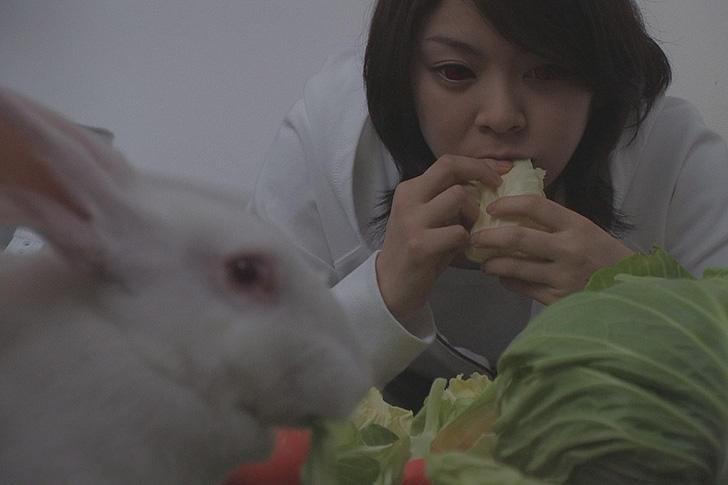 哀憑歌 CHI-MANAKO : 作品情報・キャスト・あらすじ