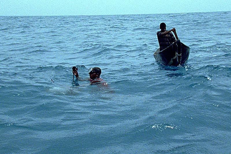 人魚と潜水夫 : 作品情報・キャスト・あらすじ