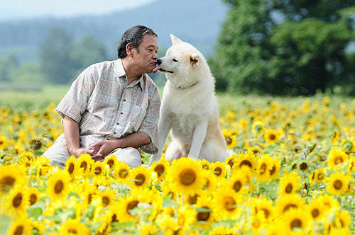 西田敏行の「星守る犬」の画像