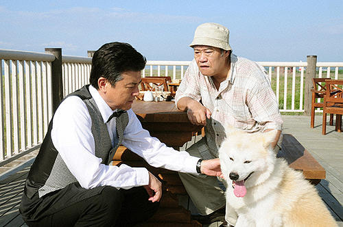 西田敏行の「星守る犬」の画像