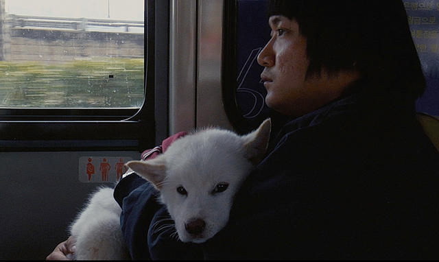 パク・ジョンボムの「ムサン日記 白い犬」の画像