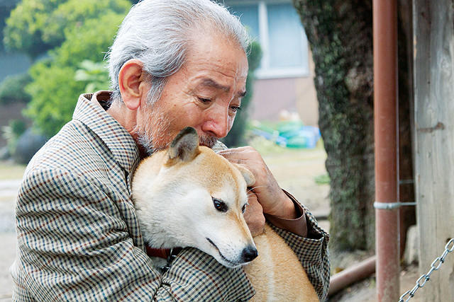 夏八木勲の「ひまわりと子犬の7日間」の画像
