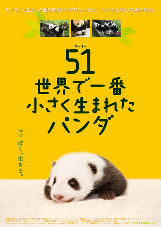 51（ウーイー） 世界で一番小さく生まれたパンダ