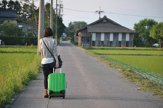 傷跡の予告編・動画