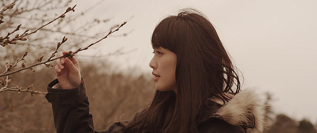 臼田あさ美の「桜並木の満開の下に」の画像
