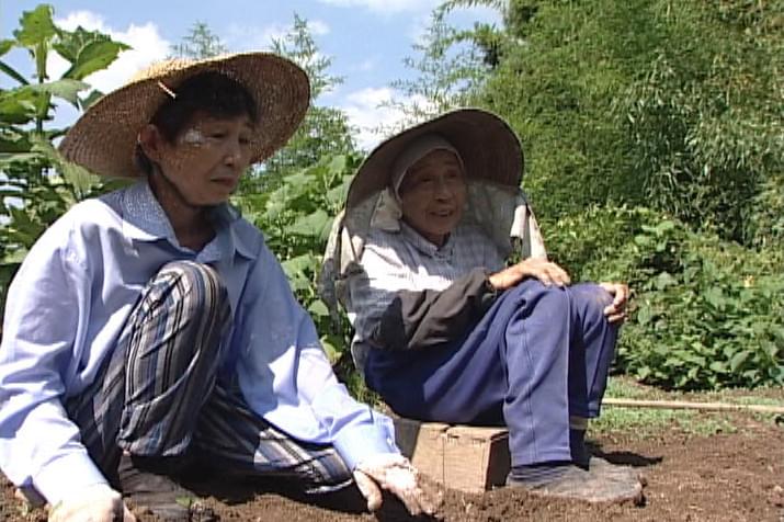 食卓の肖像 : 作品情報・キャスト・あらすじ