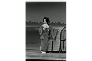シネマ歌舞伎クラシック　年増