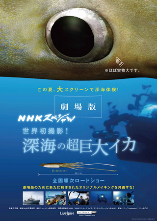 劇場版 Nhk スペシャル 世界初撮影 深海の超巨大イカ 作品情報 映画 Com