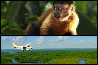 アマゾン大冒険 世界最大のジャングルを探検しよう！の予告編・動画