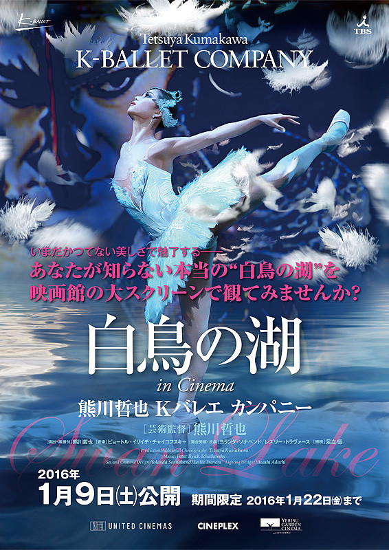 K-BALLET COMPANY 白鳥の湖 DVD - ダンス