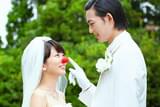 泣き虫ピエロの結婚式