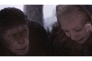 猿の惑星：聖戦記（グレート・ウォー）の映画評論『過去の戦争映画の記憶を喚起させ、猿と人間の闘いは終局を迎える』