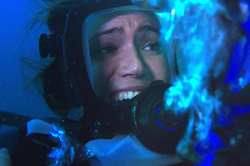 海底47m [DVD] 未使用・未開封品) 海底47m [DVD] bt0tq1u Amazon