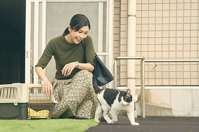竹内結子の「旅猫リポート」の画像