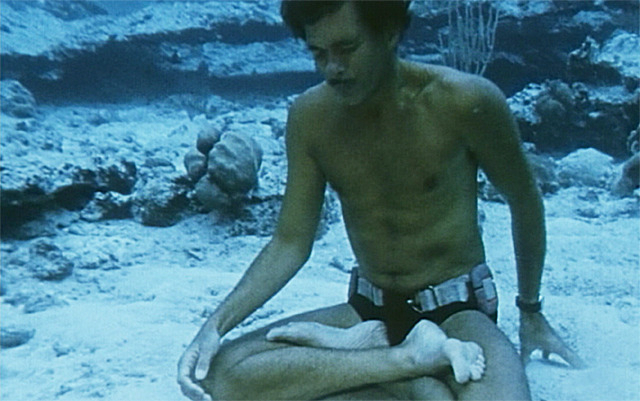 ジャック・マイヨールの「ドルフィン・マン ジャック・マイヨール、蒼く深い海へ」の画像