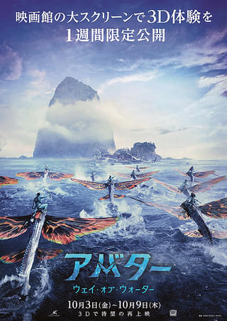 画像17