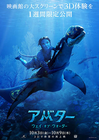 画像18