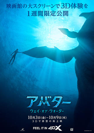画像21