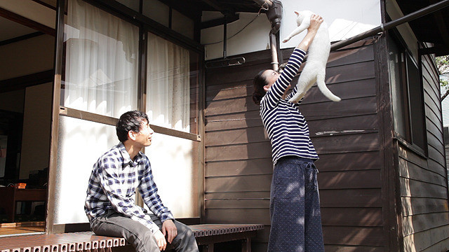 大島葉子の「愛しのノラ 幸せのめぐり逢い」の画像