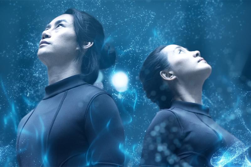 カンフー・トラベラー　南拳 : 作品情報・キャスト・あらすじ・動画