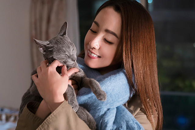 沢尻エリカの「猫は抱くもの」の画像