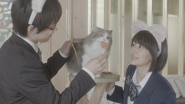新井愛瞳の「猫カフェ」の画像