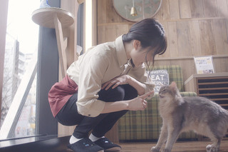 猫カフェの予告編・動画