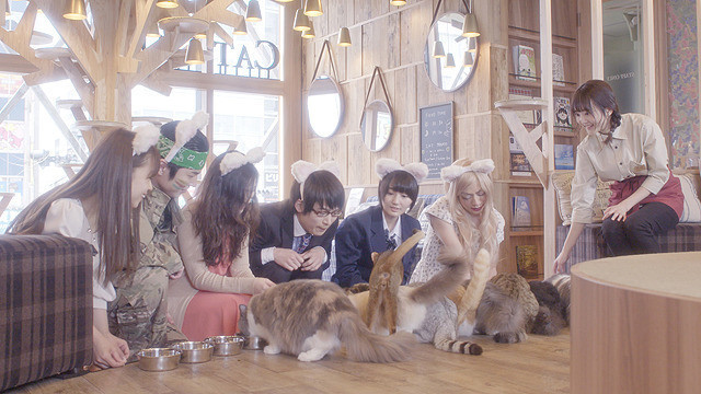 新井愛瞳の「猫カフェ」の画像