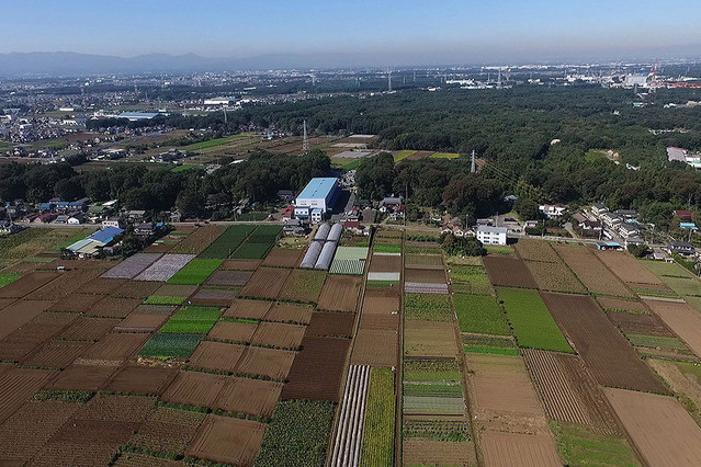 武蔵野　江戸の循環農業が息づく