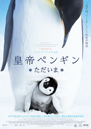 皇帝ペンギン ただいま 作品情報 映画 Com