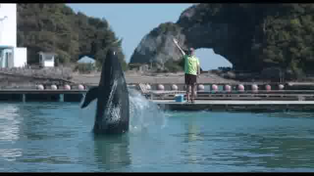ボクはボク、クジラはクジラで、泳いでいる。 : 作品情報 - 映画.com