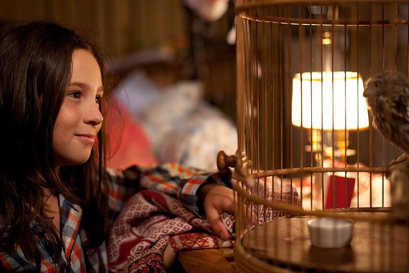 マチルド、翼を広げ : 作品情報・キャスト・あらすじ