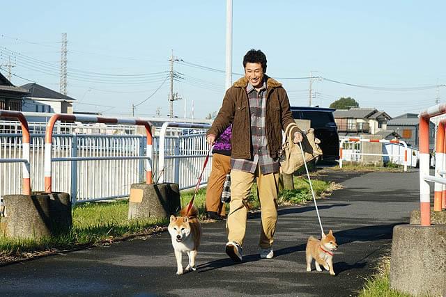 渋川清彦の「柴公園」の画像