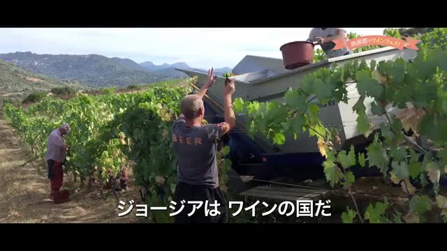 「映画で旅する自然派ワイン」予告編