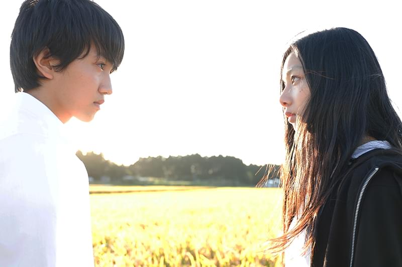 光を追いかけて : 作品情報・キャスト・あらすじ・動画