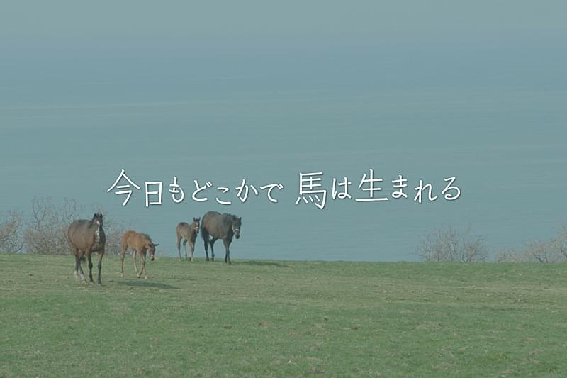 今日もどこかで馬は生まれる : 作品情報・キャスト・あらすじ・動画