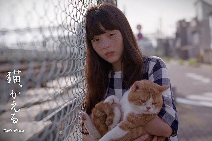 猫、かえる Cat's Home : 作品情報・キャスト・あらすじ