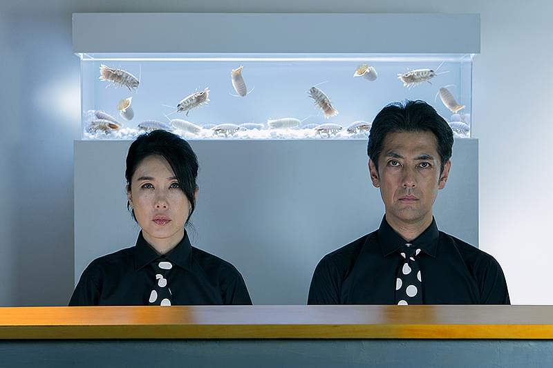 SHELL and JOINT : 作品情報・キャスト・あらすじ・動画