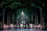 パリ・オペラ座バレエ・シネマ「夏の夜の夢」