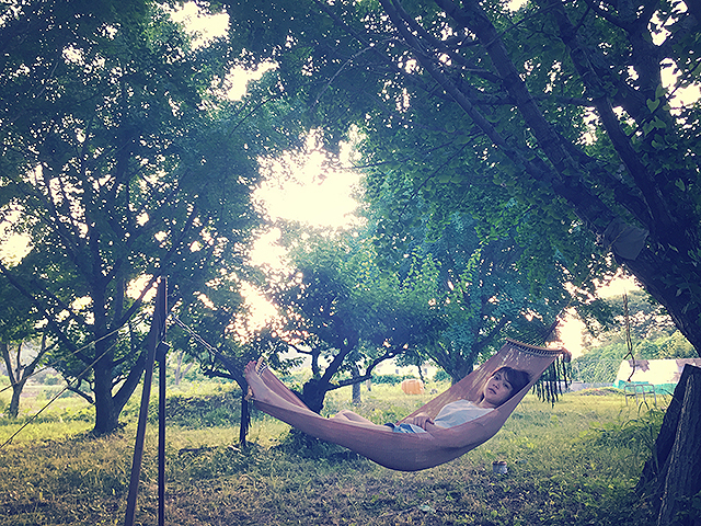柳英里紗の「すずしい木陰」の画像